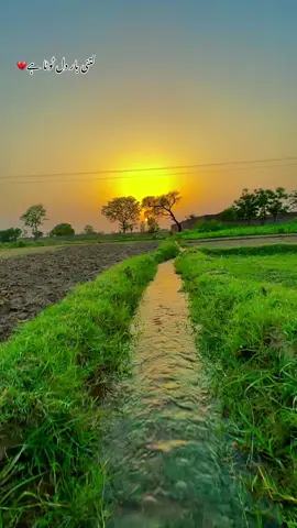 #🍂میرا-سونا_ پنڈ_لنگے-ضلع -سیالکوٹ🌅🍃🌾❤️#shabanhaider1000✅🌱 #foryoupage #unfrezzmyaccount 