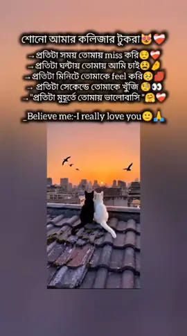 #nipu09 #ইনশাআল্লাহ_যাবে_foryou_তে #virulvideo 