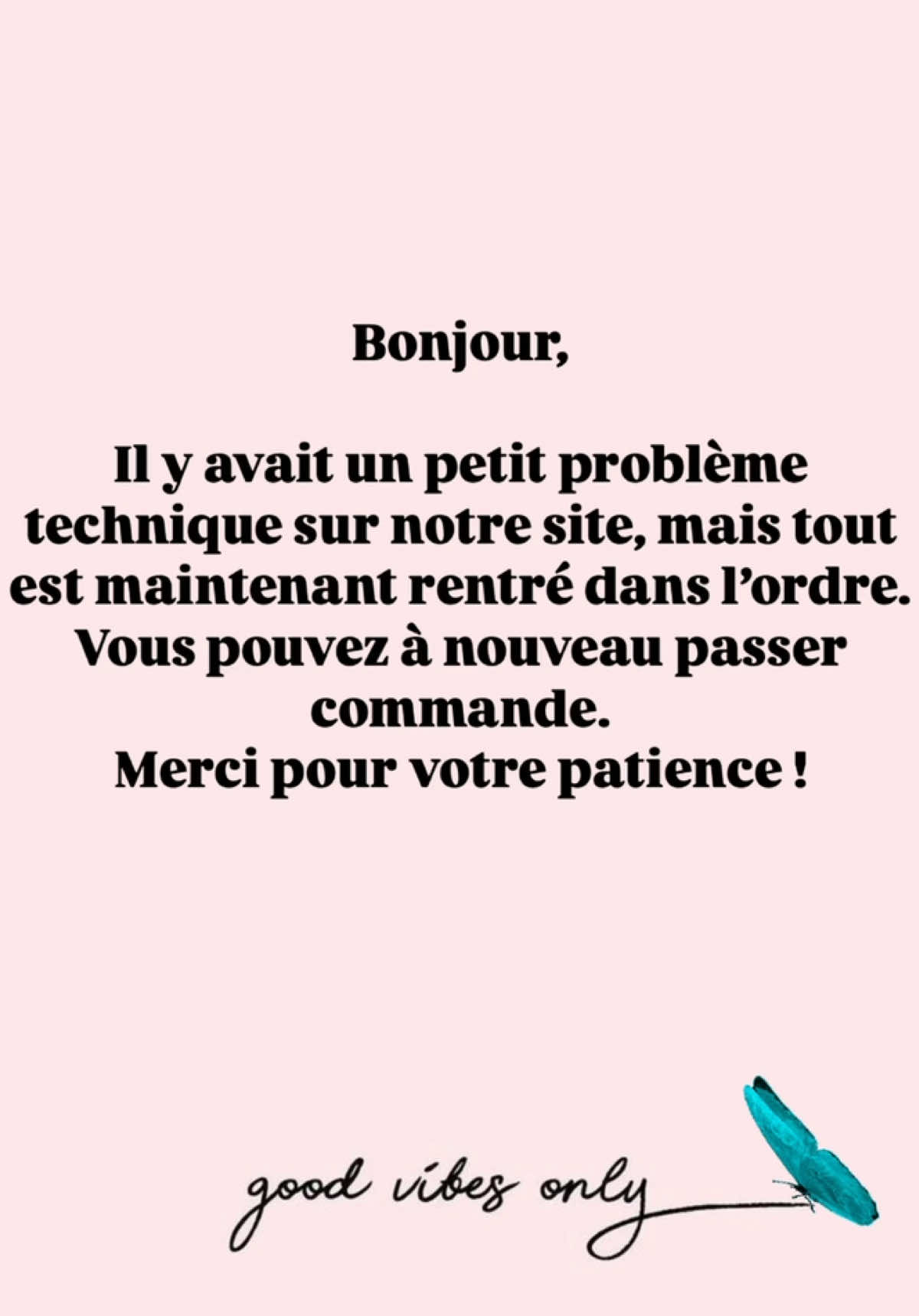 Bonjour, il y avait un petit problème technique sur notre site, mais tout est maintenant rentré dans l’ordre. Vous pouvez à nouveau passer commande. Merci pour votre patience ! 🦋