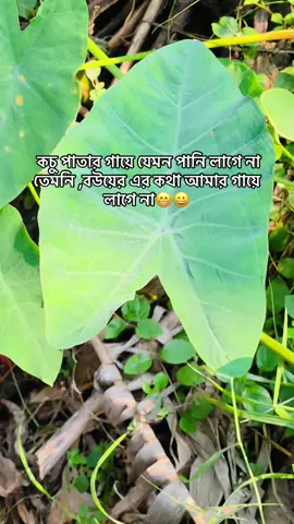 কচু পাতার গায়ে যেমন পানি লাগে না তেমনি বউয়ের এর কথা আমার গায়ে লাগে না🤣😁 #sm_sakib_jr 