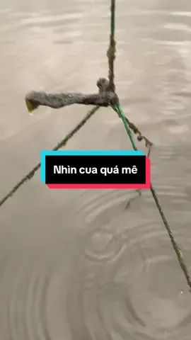 Thăm nhá cua quảng canh#nuoicuamatdoday #xuhuong #fyp 