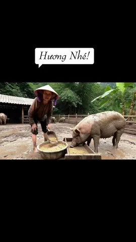 Lại là em hả Hương #annhienmusic #hương 