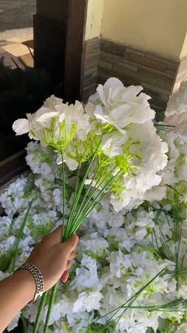 hortensia ready boskuu,yang mau silahkan cek krnjang kuning #bungamurah #hortensia #pancawarna #decoration #xybca 