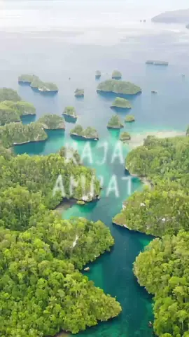 RAJA AMPAT! Apa yang kamu pikirkan tentang kepulauan ini? #fyp #fypage #fypシ゚ 