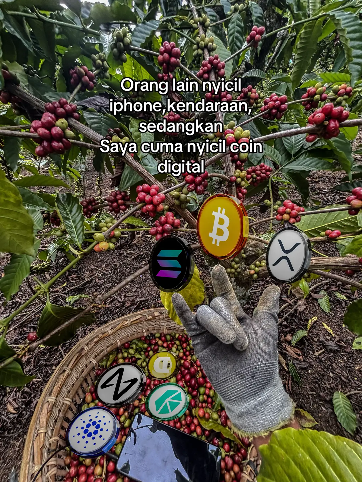 🥹#petanikopi #petanimuda #crypto #cryptocurrency #fyp