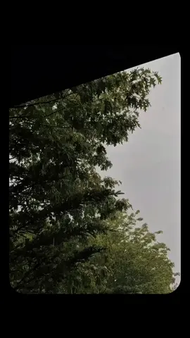 Con bé đó.. #podcast #yeuthuong #tamsu #chualanh #cuocsong #tamtrang #nhungdieuchuanoi 