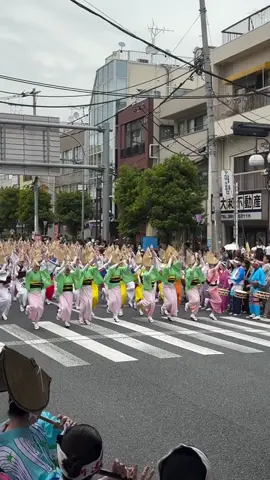 [Horikiri Katsushika Iris Festival 2025] A spectacular joint dance festival of 19 people! Waves and waves and waves of overwhelming dancing! Horikiri Elementary School Group, Ground Cherry Group, Sunflower Group, Horikiri Ayame Group, Maruwaka Group, Asakusa Kaminari Group, Aikyo Group, Sancha Group, Yumeraku Group, Kimura Group, Tomoe Group, Sounokaze Group, Suzukaze Group, Ishin Group, Taito Group, Kagurazaka Kagura Group, Mimatsu Group, Nakamurabashi Shin Group, Koenji Sakura Sakura 20250608 (Sun) #Awaodori #Awaodori #BonOdori #Festival #JapaneseCulture #Kimono #awaodori #awadance #bondance #traditionaldance #masturi #japanesefestival #Japaneseculture #JapaneseArt #AwaDance #AwaOdori #KoenjiSakuraSakura #KaminariGroup #KagurazakaKaguraGroup #SanchaGroup