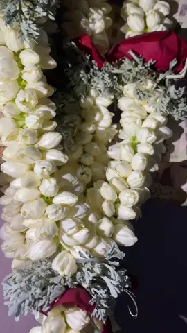 #فل #جيزانيات_جيزانيه #فل_جيزاني #🔥🔥🔥🔥🔥🔥 