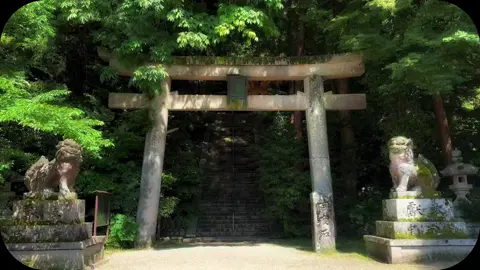 静かで癒された🎐 #風景 #japanvibes #nature #癒し #神秘的 #パワースポット #建水分神社 