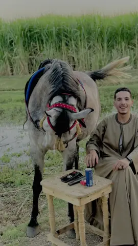 الفيديو طالع من ارض البداري وصل فين ❤️❤️😘 #CapCut#حفيد_حداد_حسين   #الصعيدي_خط_النار🔥 #البداري_محافظه_أسيوط  