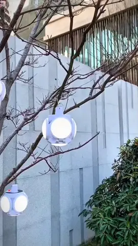 This solar-powered charging football lamp is really great. It can be charged by solar energy and can be used both indoors and outdoors. #Solar lamp# #Outdoor lamp# #Outdoor lighting#tiktok #tiktokshop #malaysia #malaysiatiktok #foryou #fyp #fypシ 