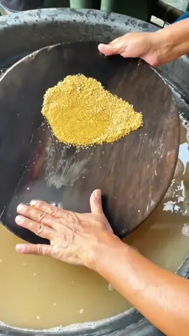 #emas #tambang #tambangemas #dulang #usaha #fyp #viral #vidioviral #padang #padangsumbar #fypシ゚viral #fypシ #sumbar #sumut #sumaterabarat #sumaterautara #riau #pekanbaru #pekanbaru_riau #medan #medantiktok #medanviral #urangawak #jakarta #jawa #jawatimur #jawabarat #jawatengah #jawapride#kalimantan #kalimantanbarat #kalimantanselatan#jambi #bengkulu #palembang #curup #aceh #kerinci #kerinci_jambi_indonesia #trending   #jangkauanluasfyp  #jangkauansemuaorang  #interaksisemuaorang  #jangkauanluasfyp #reelviral  #reelstrending  #jangkauanluas #trending #jangkawanluassemuaorang #jangkauanluas