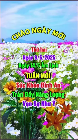 Chào Ngày Mới #ngaymoivuive 