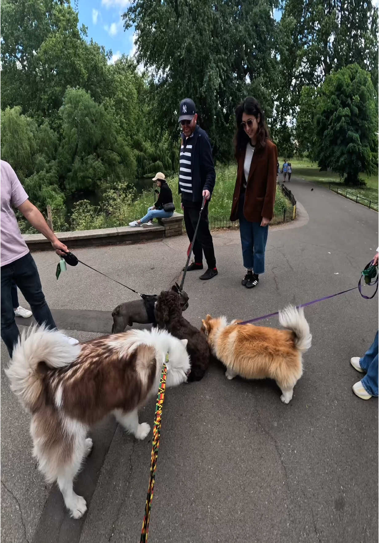 Interactions with my dog!!  #husky #viral #pets #fyp #foryou #friends #dogs #doglover #viola 