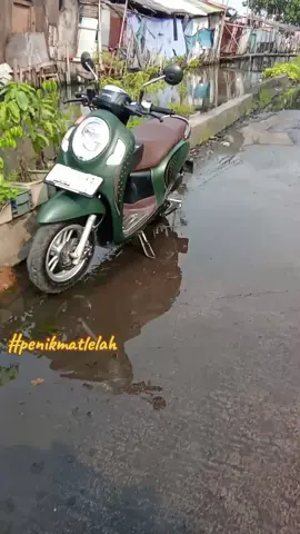 #iwanfals #pinggirankotabesar #tiktokviral  #fypppppp 