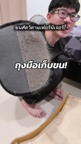 ใครยังไม่ใช้ ถุงมือเก็บขน!! ต้องดู ✨#ถุงมือเก็บขน #ขนแมวติดเสื้อ #ขนแมว#ขนหมา #ที่เก็บขน #ถุงมือเก็บขนpetcho #petcho 