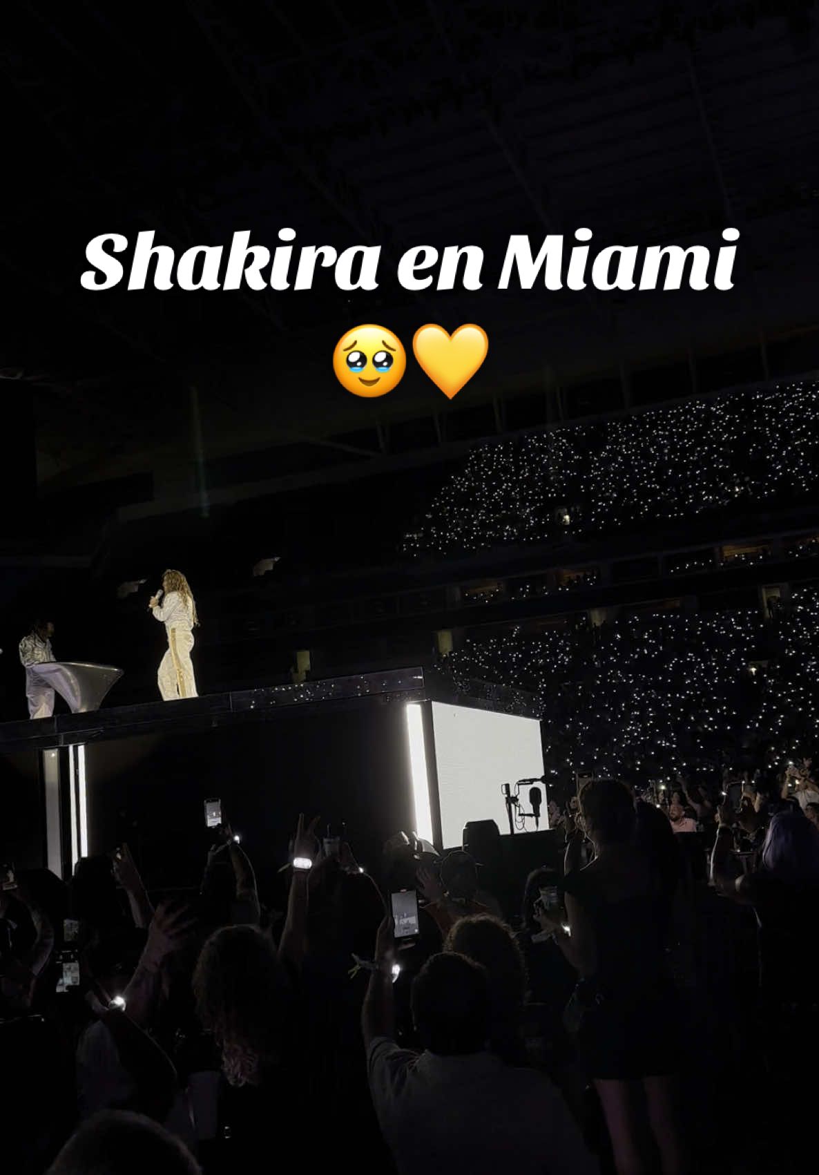 Miami a tus pies, mi reina @Shakira 🐺🥹💜 #Shakira #LMYNLWorldTourMiami #LMYNLWorldTour 