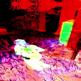 bored and fuh my baby momma #jugg #dbd #deadbydaylight #juggedit #edit #dbdedit #ae #fyp #viral 