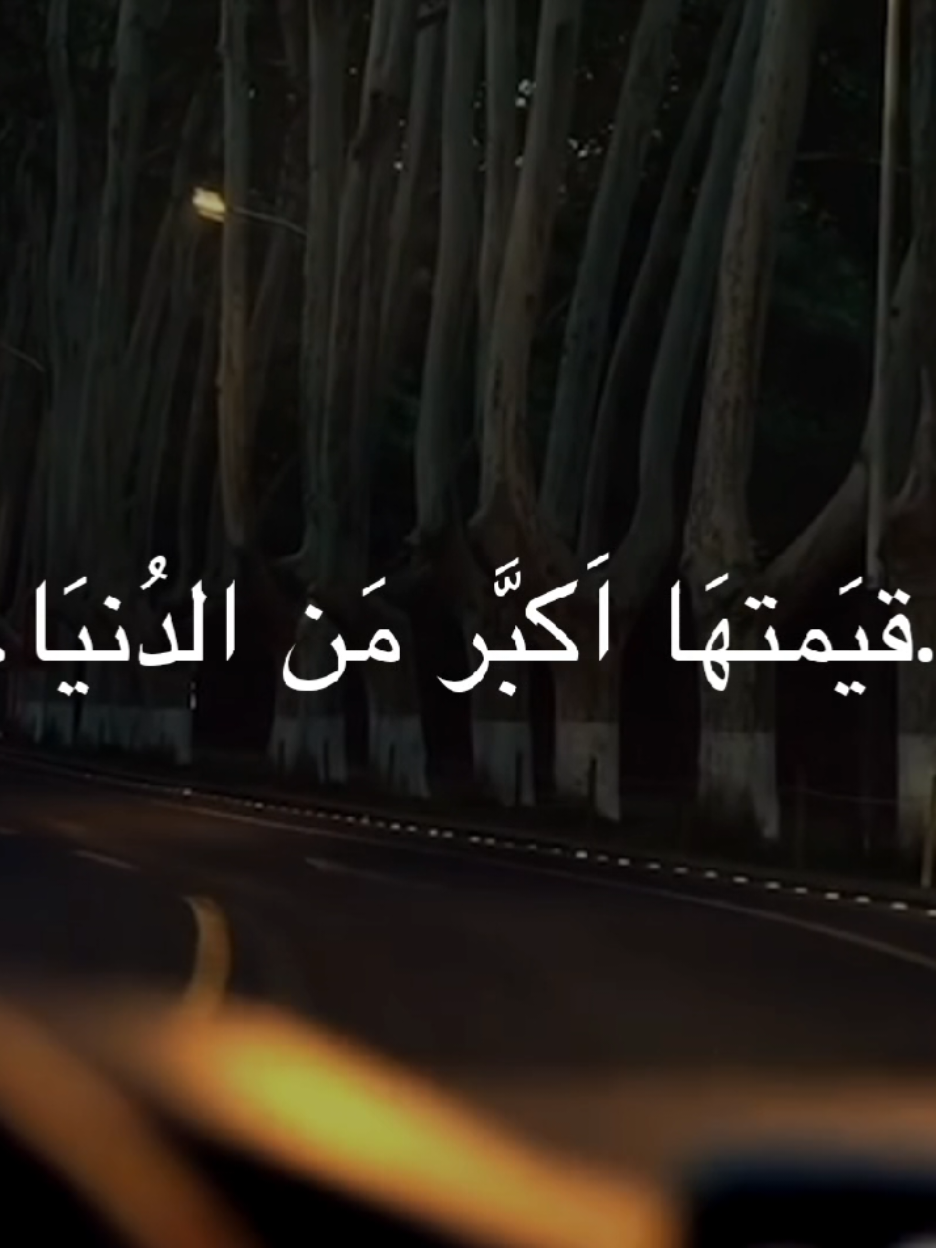 قيمتها أكبر من الدنيا.. #الشيخ_احمد_الوائلي  #اكسبلورexplore 