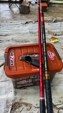 Timbang gabut, mending cing 🎣  #rilislelejawatimur  #kpsumberbima  #kpykjayatempuranperakjombang  #galatamalele  #rilisanlele 