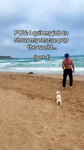 The story of Elko, the traveling dog.  Follow @awayonearth to watch Elko’s journey of setting the world record.  #travel #dogtravel #dogs #petlover #fyp #rescue #rescuedog #travellife 