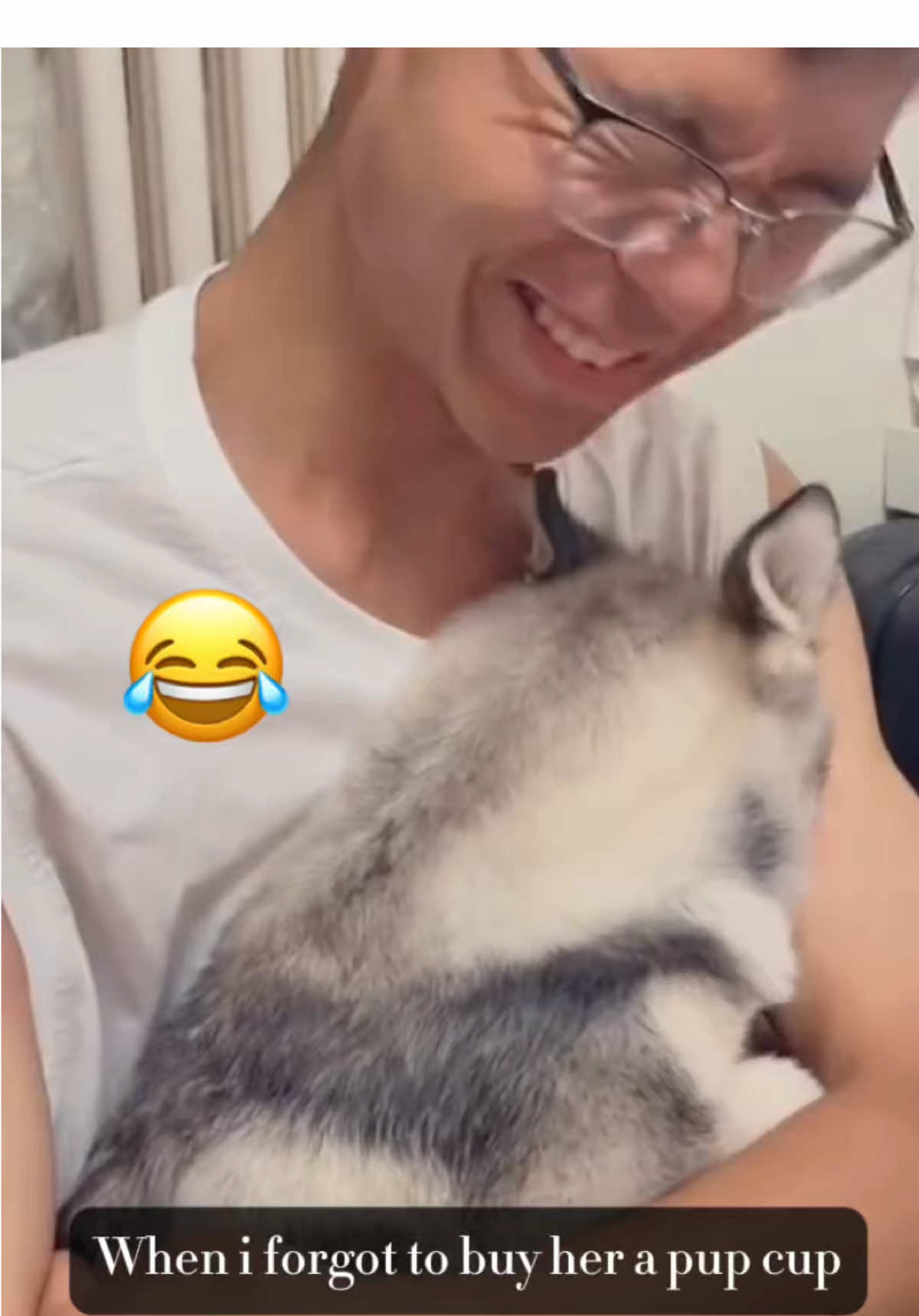@Adam.elea1 @My Petsie @My Petsie @Adam.elea1 @🐾Ricky 🐾 @𝐃𝐢𝐠𝐢𝐭𝐢𝐟𝐲𝐡𝐮𝐛  When you hear ‘no pup cup’ 😭🐶💔 #MyPetsie  ___________________________________________  Explore the Link in Our Bio for More Best Pets Toys & Supplies! 🛒🛍️  ___________________________________________    Follow @my.petsie  For More Daily Videos 🔥❤️  ___________________________________________  POV: You take your dog to the drive-thru and dare to forget the pup cup. The betrayal. The drama. The emotional damage. 😤🍦 Tag a dog parent who knows this struggle! 🐾 ___________________________________________  Plz Dm for credit & removal 💬 ___________________________________________  Our social Media : 👇(contact on us Instagram    @my.petsie & @my.petsie1 & @mypetsie.store  ___________________________________________  #NoPupCupNoPeace #FunnyDogs #DogReels #DogDrama #PupCup #Puppy #Puppies #FunnyPets #FunnyAnimals #SadDog #DogLife #DogsOfInstagram #DogHumor #DogLovers #PupCupFail #PetReels #DogMom #DogDad #DogTiktok #SpoiledDog #StarBucks #MyPetsie 