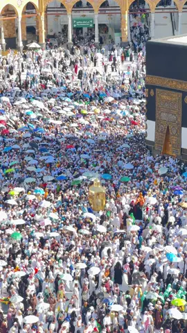 اللهم اجمعنا في الجنة يارب #مكة #المسجدالحرام #الحرم #الحرم_المكي #الحج #الكعبة_المشرفة #الكعبة #viral 