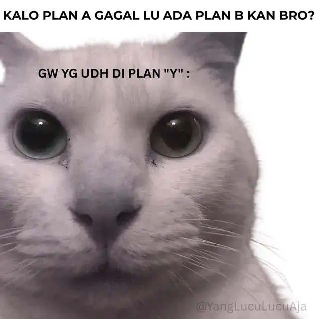 Semangat yg lagi quarter life of crisis #random #life #cat 