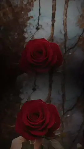 اللهم لاتفجعنا بأنفسنا ولااهلينا يارب العالمين 🤲🤍🤍#اللهم_استودعتك_نفسي_واهلي_وكل_من_احب #يارب❤️ #اللهم_مافي_قلبي_وان_طال_الدعاء #fup #foreyoupage #fupシ #foryou #تصاميم_ورد🌸 