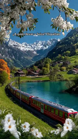Hay lugares que parecen salidos de un cuento… Pero Suiza es real. 🏔️✨ Caminas entre montañas nevadas, pueblos que huelen a chocolate caliente y trenes panorámicos que te hacen olvidar el tiempo. Todo es perfecto. Sereno. Inolvidable. Y sí, tú también puedes vivirlo. 📩 ¿Lo planeamos juntos? ¡Escríbenos!  #suiza #viajesinolvidables #viajarporleurope #reeldeturismo #reelviajes #destinosdeensueño #viajandoando #europaviajes #viajeparados #viajeras #viajesporelmundo #reeltravel #travelvibes #viajesconestilo #lugaresmagicos