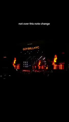 and apparently he was in the crowd #oliviarodrigo #govball #driverslicense 