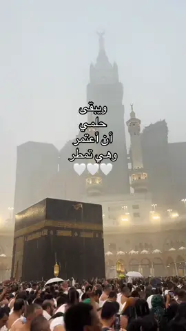 #اللهم_ارزقني_عمرة_قريبة_تريح_بها_قلبي_ #لا_اله_الا_الله_وحده_لاشريك_له #لا_اله_الا_انت_سبحانك_اني_من_الظالمين #foryou #explore #duaa #4upage #allahuakbar 