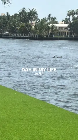 perfect day with my besties! we saw dolphins 🥹🫶🐬 @Nicolehouli  @La Colombe Coffee Workshop @Old Navy Official @rhode skin @Fabletics @Dae Hair @belif USA @alvjewels @Nasty Gal  #dayinmylife #Vlog #creatorsearchinsights #dayinthelife #dailyvlog #minivlog #diml #fypシ #fyp #weekendvlog 