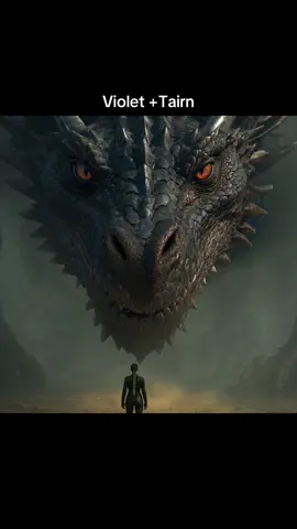 Fourt Wing Riders and Dragons 🐉 #fourthwing #violetsorrengail #xadenriorson #tairn #rebeccayarros #BookTok 