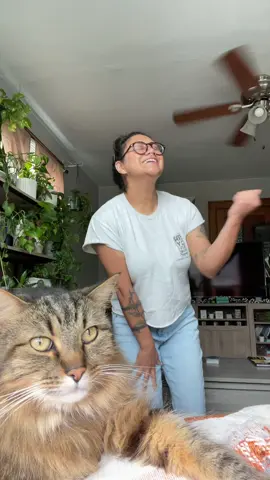 Jumping on that Ke$ha trend with Lucy! #yourloveismydrug #animals #cats #keshatiktok 