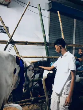 poki     #foryou #fouoy #viralvideo #💞💞💞💞💞💞foryou #foyopage❤️❤️❤️foryou💗💗🦋🥰CapCut #foyopage❤️❤️❤️foryou💗💗🦋🥰 #fryndigvideo👌👌 #frypgシviral🥰tiktokepa #CapCut #videoviralitiktok #cow #foryoudingvideoviral❤️🦋❤️tiktoli🥀🥰🥰🥺 #bangladesh🇧🇩bangladesh🇧🇩 #foyopage❤️❤️❤️foryou💗💗🦋🥰CapCut #foryou #fouoy #viralvideo #💞💞💞💞💞💞foryou #foyopage❤️❤️❤️foryou💗💗🦋🥰CapCut #foyopage❤️❤️❤️foryou💗💗🦋🥰 #fryndigvideo👌👌 #frypgシviral🥰tiktokepa #CapCut #videoviralitiktok #cow #foryoudingvideoviral❤️🦋❤️tiktoli🥀🥰🥰🥺 #bangladesh🇧🇩bangladesh🇧🇩 #foyopage❤️❤️❤️foryou💗💗🦋🥰CapCut #foryou #fouoy #viralvideo #💞💞💞💞💞💞foryou #foyopage❤️❤️❤️foryou💗💗🦋🥰CapCut #foyopage❤️❤️❤️foryou💗💗🦋🥰 #fryndigvideo👌👌 #frypgシviral🥰tiktokepa #CapCut #videoviralitiktok #cow #foryoudingvideoviral❤️🦋❤️tiktoli🥀🥰🥰🥺 #bangladesh🇧🇩bangladesh🇧🇩 #foyopage❤️❤️❤️foryou💗💗🦋🥰CapCut #foryou #fouoy #viralvideo #💞💞💞💞💞💞foryou #foyopage❤️❤️❤️foryou💗💗🦋🥰CapCut #foyopage❤️❤️❤️foryou💗💗🦋🥰 #fryndigvideo👌👌 #frypgシviral🥰tiktokepa #CapCut #videoviralitiktok #cow #foryoudingvideoviral❤️🦋❤️tiktoli🥀🥰🥰🥺 #bangladesh🇧🇩bangladesh🇧🇩 #foyopage❤️❤️❤️foryou💗💗🦋🥰CapCut#foryou #fouoy #viralvideo #💞💞💞💞💞💞foryou #foyopage❤️❤️❤️foryou💗💗🦋🥰CapCut #foyopage❤️❤️❤️foryou💗💗🦋🥰 #fryndigvideo👌👌 #frypgシviral🥰tiktokepa #CapCut #videoviralitiktok #cow #foryoudingvideoviral❤️🦋❤️tiktoli🥀🥰🥰🥺 #bangladesh🇧🇩bangladesh🇧🇩 #foyopage❤️❤️❤️foryou💗💗🦋🥰CapCut  #foryou #fouoy #viralvideo #💞💞💞💞💞💞foryou #foyopage❤️❤️❤️foryou💗💗🦋🥰CapCut #foyopage❤️❤️❤️foryou💗💗🦋🥰 #fryndigvideo👌👌 #frypgシviral🥰tiktokepa #CapCut #videoviralitiktok #cow #foryoudingvideoviral❤️🦋❤️tiktoli🥀🥰🥰🥺 #bangladesh🇧🇩bangladesh🇧🇩 #foyopage❤️❤️❤️foryou💗💗🦋🥰CapCut 