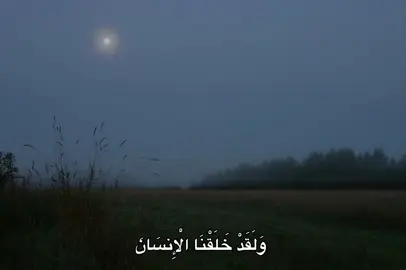 #محمد_صديق_المنشاوي #المنشاوي #quran #fyp #🎧 