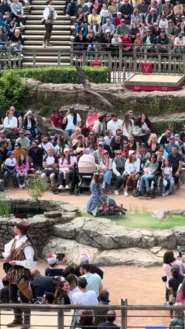 Le bal des oiseaux fantômes ! @Puy du Fou #puydufou #puydufoupark #puydufou2025 #fypシ #foryourpage #vendee #pourtoi #parati #spectacle #puydufouespaña #cinesceniepuydufou #specialeffects #puydufoufan #francetiktok🇫🇷 #españa #paysdelaloire #espanatiktok #fauconnerie #fauconnier #france #france🇫🇷 #oiseau #oiseaux 