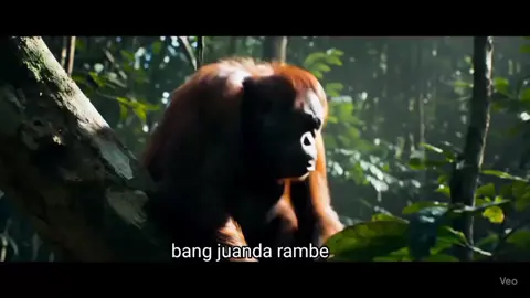 bege bo Juanda@juanda.rambe 