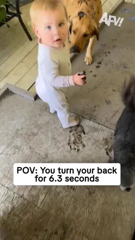 No words, just mess 😖 #afv #funny