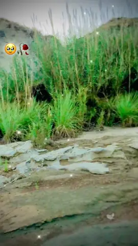 سادے نال نا ٹور بدنام ہوسے 🥹🥀💯