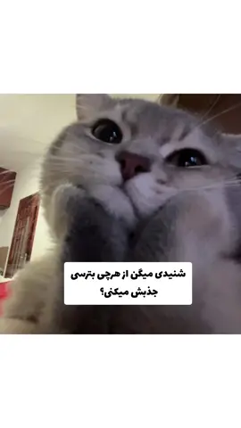 وای پوللللل #Funny #foryou