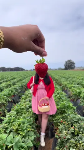 This trend is so cute 🥹🍓🤍@maritza <3  #billyjoel #strawberry #strawberryshortcake #strawberrypicking #OOTD #ootdinspo #ootdideas #ootdstyle #fyp #foryoupage #fory 