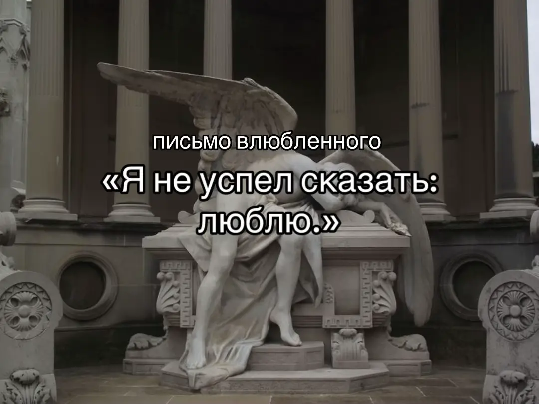 « Я не успел уверить, сколь влюблен, - Вы же сумели так просто возненавидеть. » #писательство #рекомендации #литература #букток #writing  #книги #fyp #букток 