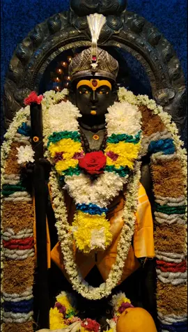 VAIKASI VISAKAM  வைகாசி விசாகம் #வெற்றிவேல்_முருகனுக்கு_அரோகரா #murugan #muruga #muruganthunai #omsaravanabhava #vetrivelmuruganukkuarogara #vel_undu_vinai_illai #mlk_naning_sri_balatandayuthabani_temple 