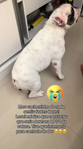 Tamanho foi o susto com nosso cachorrinho que tem apenas 4 aninhos . Derrepente seriu fortes dores e começou a chorar . Ao levá-lo na emergência de disse que seria coluna L7 e S1 . A priori precisaríamos internalo para controle de dor , depois tratá-lo com predisilona , Tramal , pregabalina só depois que completar um mês passar por uma nova avaliação e fazer ressonância para depois entendermos melhor o que aconteceu e como tratar .  Está sendo dias difíceis , mas estamos confiante que dará tudo certo e já já ele vai se recuperar . #cachorro #buldoguefrances #cao #dog #veterinario 