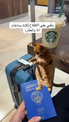 #Meme #MemeCut #ترند #قطط #تك_توك #اكسبلور #سفر #عبارات 