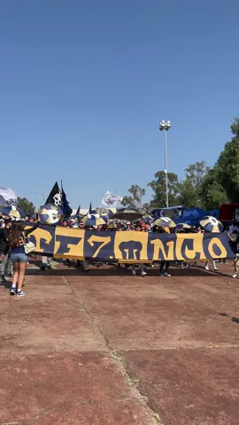 Llegando la doble T 🥳🥳#pumasmx #orgulloazulyoro💙💛 #pebetero🎺🥁 #labandadelpebetero #rebeltlahuac #rebeltezonco #paratodos @Izta Reyes 