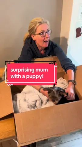 I want a puppy now @Janice Piper 🌸 #dogsoftiktok #puppylove #fyp #foryou #abcxyz 