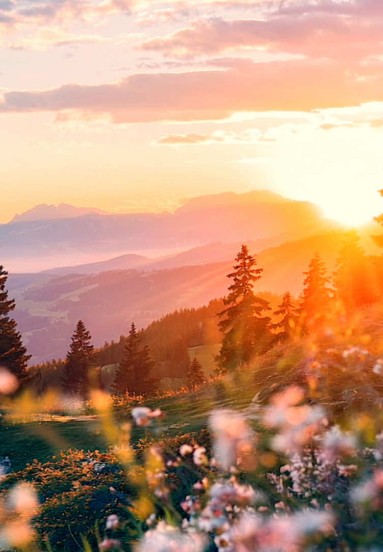 Wonderful mountain view at sunset #fyp #foru #foruyou #beautiful #positivevibes #feelinggood #beautifuldestinations #mood #moody #aesthetics #aestheticvideos #relax #relaxing #relaxation